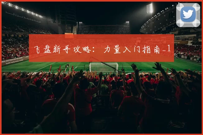 飞盘新手攻略：力量入门指南_1