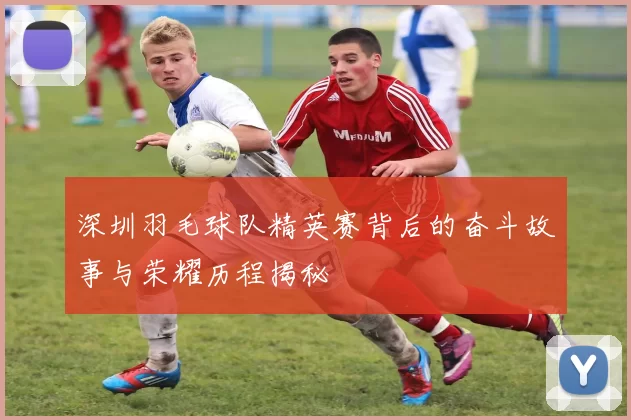 深圳羽毛球队精英赛背后的奋斗故事与荣耀历程揭秘