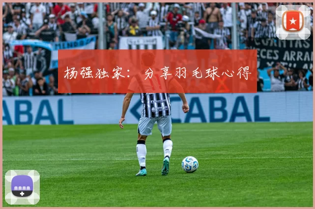 杨强独家：分享羽毛球心得