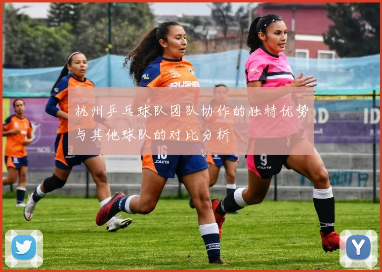 杭州乒乓球队团队协作的独特优势与其他球队的对比分析