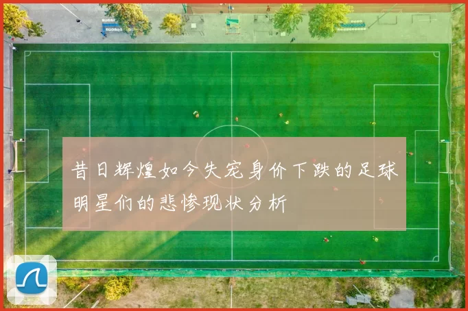 昔日辉煌如今失宠身价下跌的足球明星们的悲惨现状分析